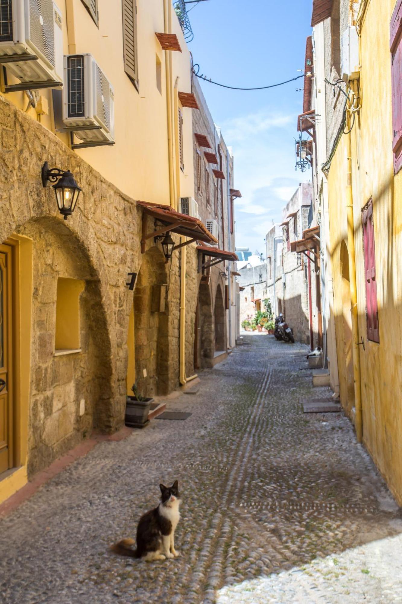 Rhodes City Alexandras Stone Houseヴィラ エクステリア 写真